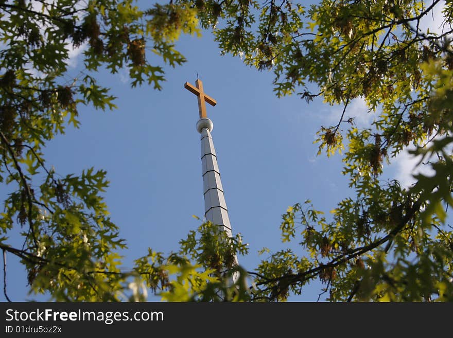 Cross On Steeple Framed By Trees