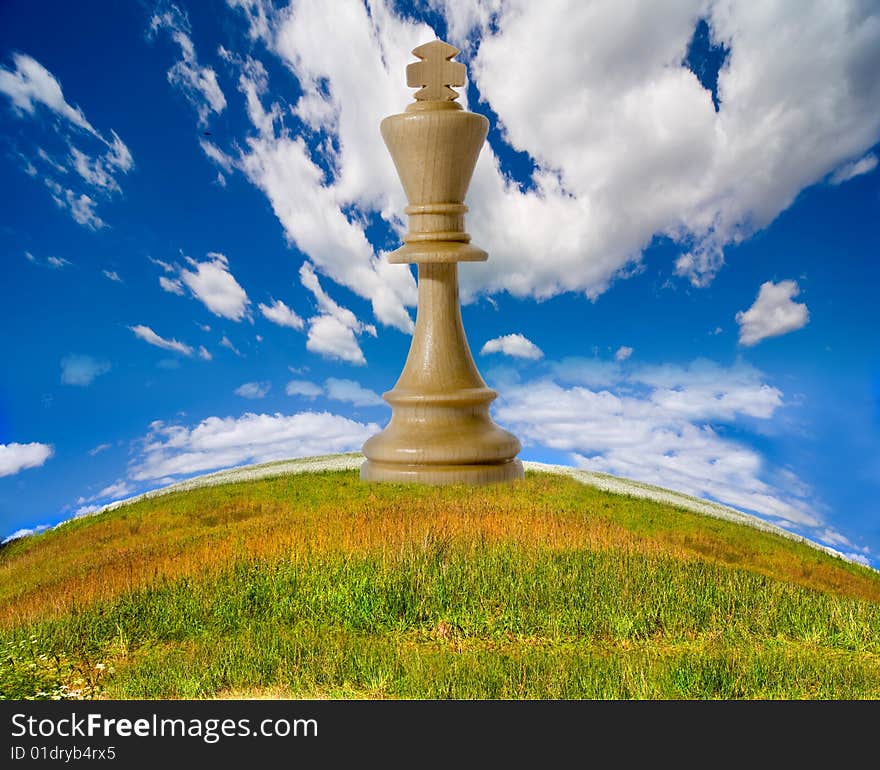 Chess composition on nature