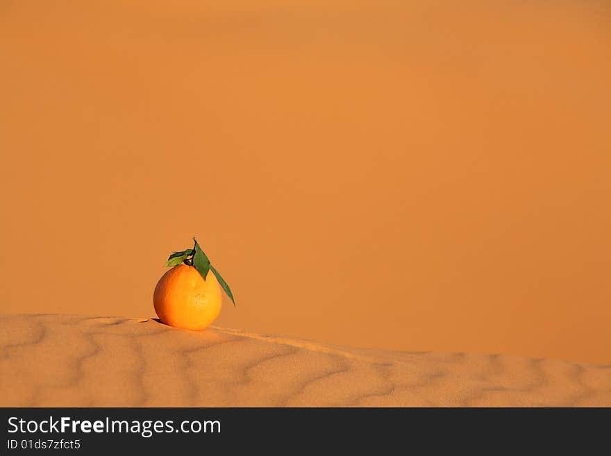 Orange On The Dune