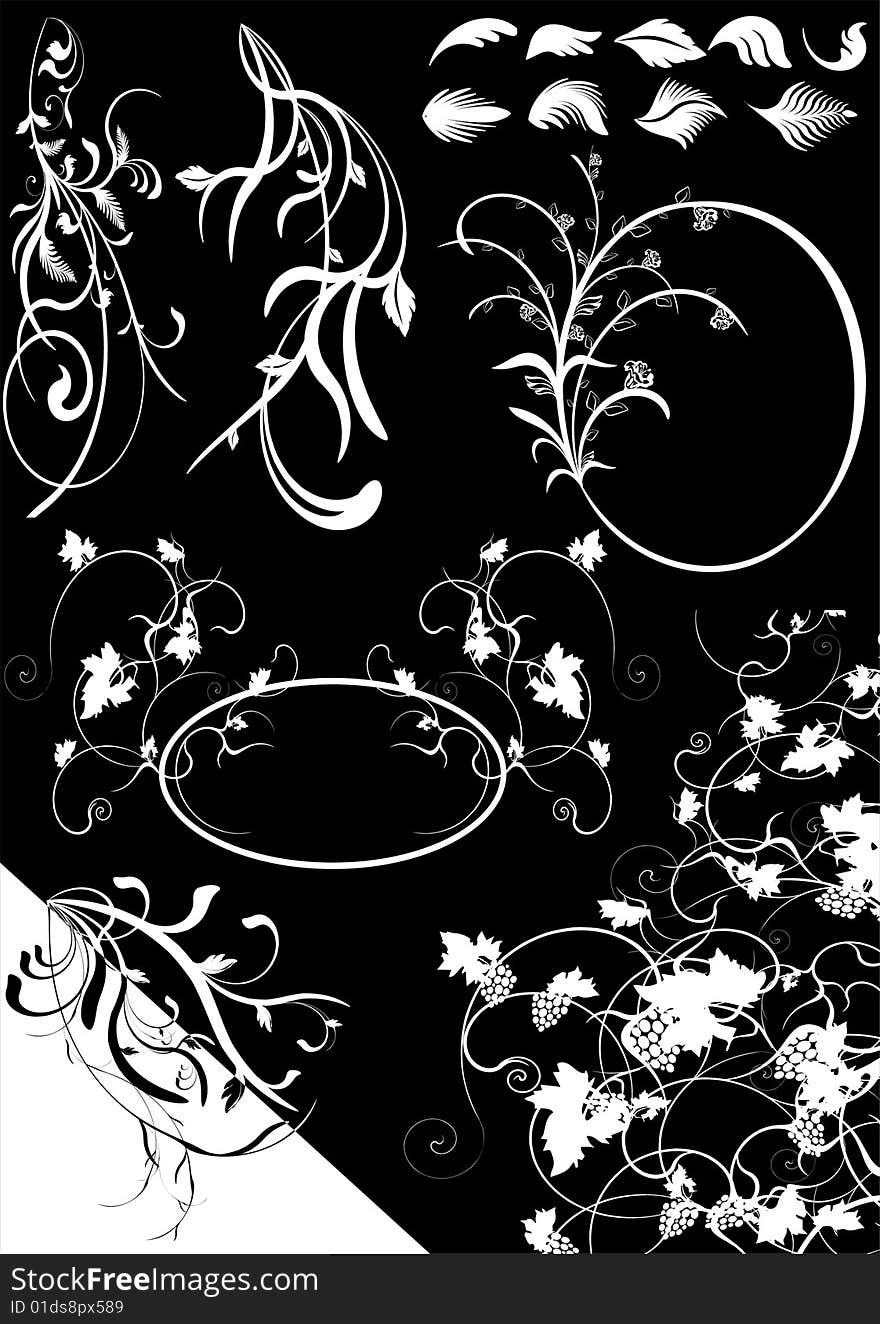 Set of floral design elements vector. Set of floral design elements vector