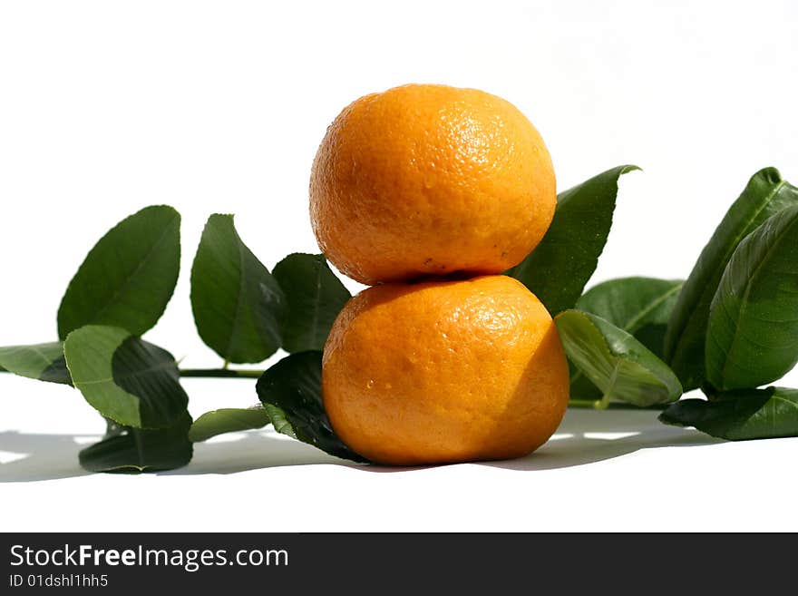 Lemon and leaf on the white background