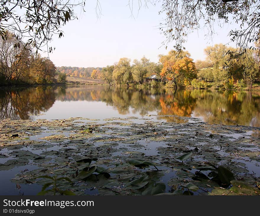 Autumn fall yasnaya polyana nature