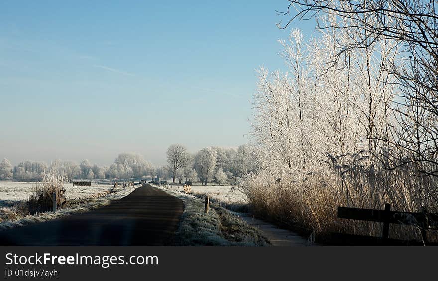 Winter Polder Landscape