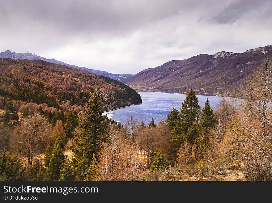 Beautiful forest and lake,Mountain range. Beautiful forest and lake,Mountain range