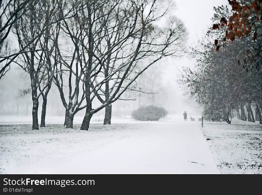 Heavy snowfalling in city park at daytime