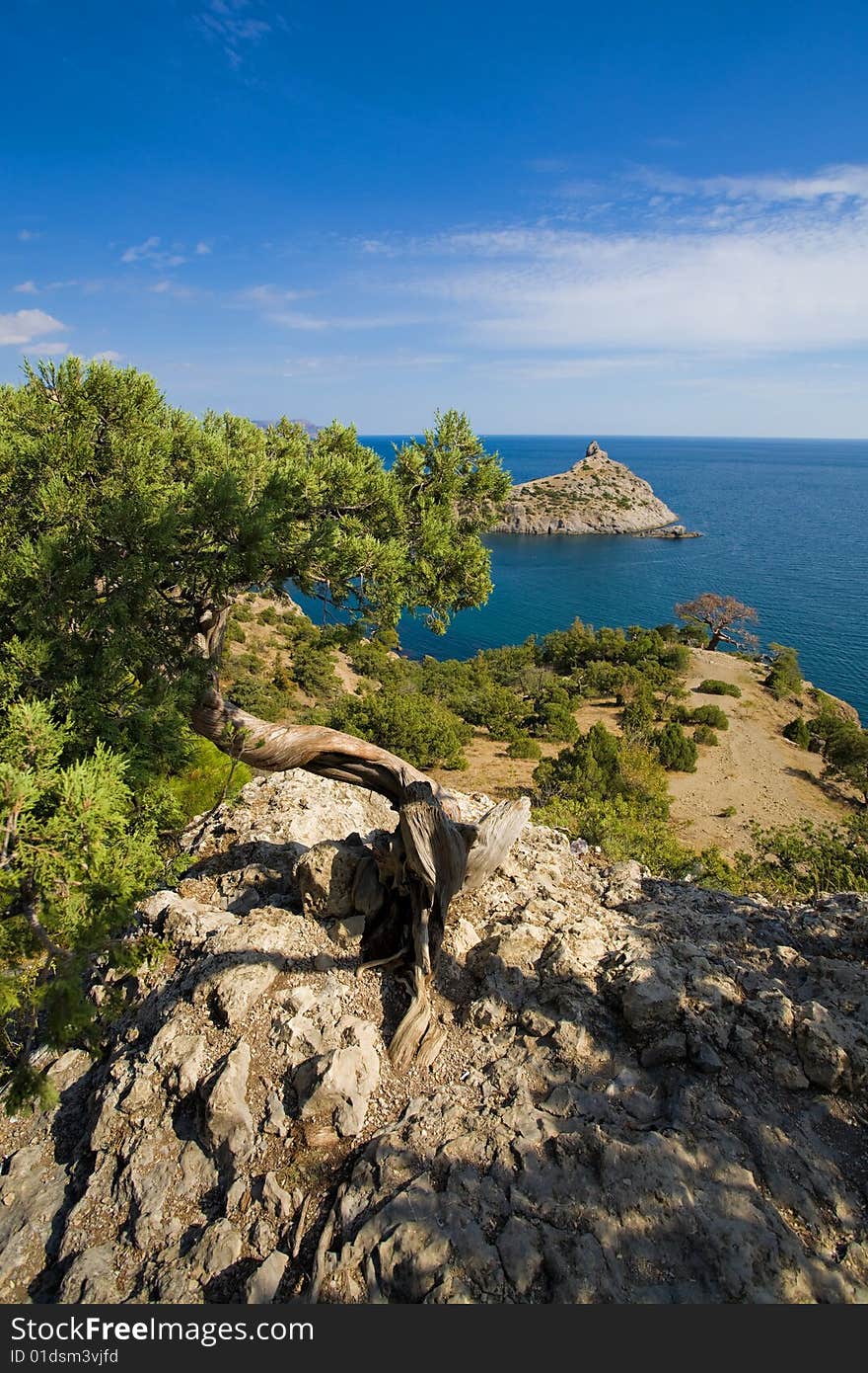 Coastal landscape