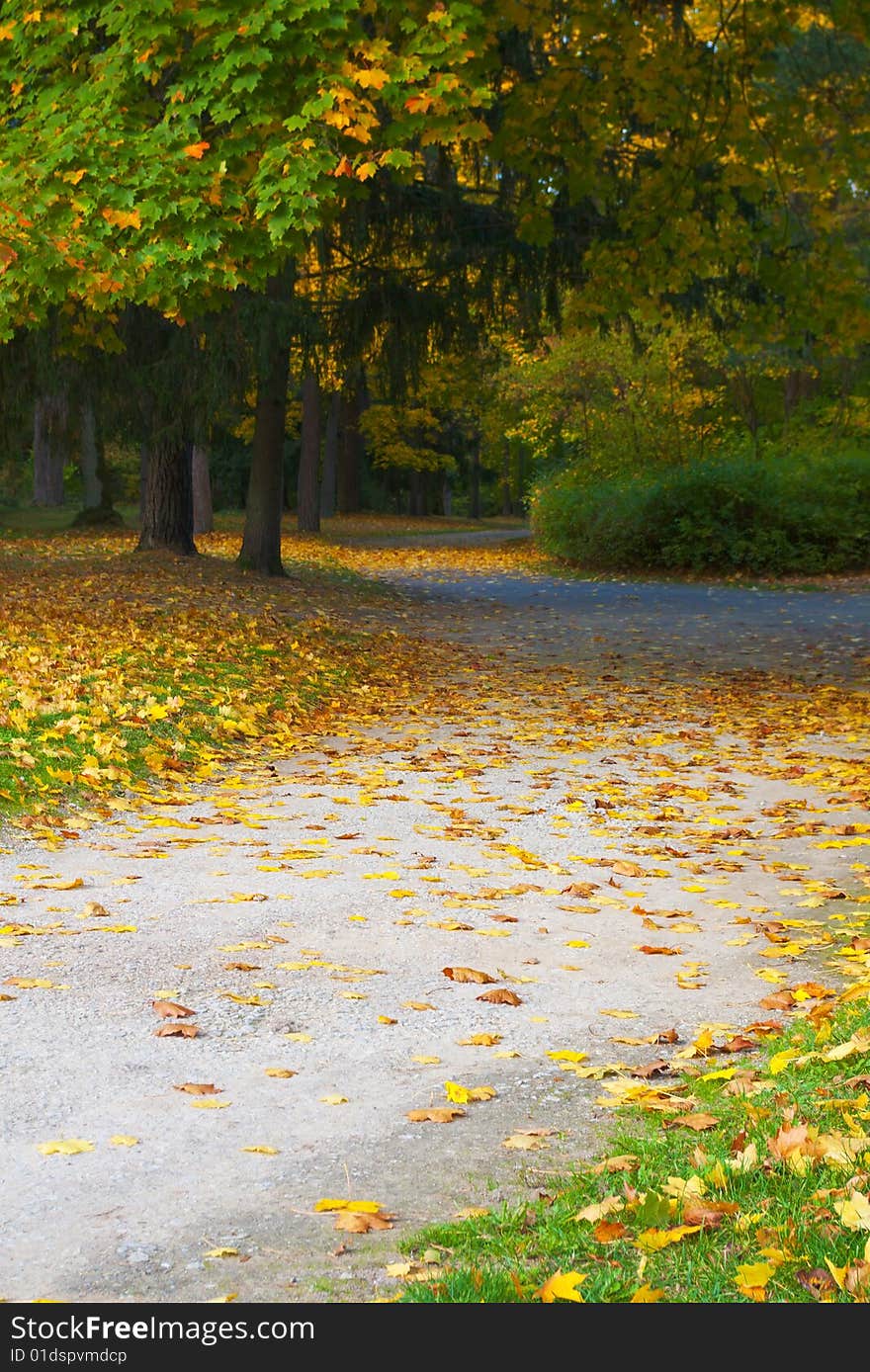 Autumn in park - passage covered with fallen leaves. Autumn in park - passage covered with fallen leaves