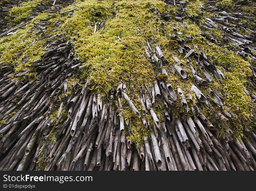 Mossy traditional  straw roof background. Mossy traditional  straw roof background