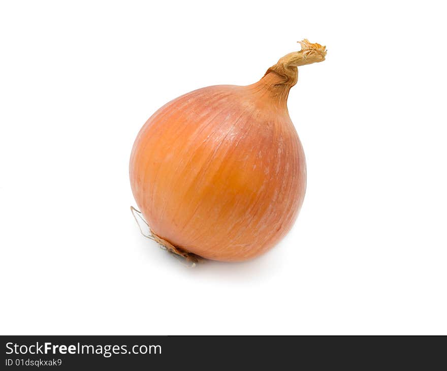 Head of fresh onions