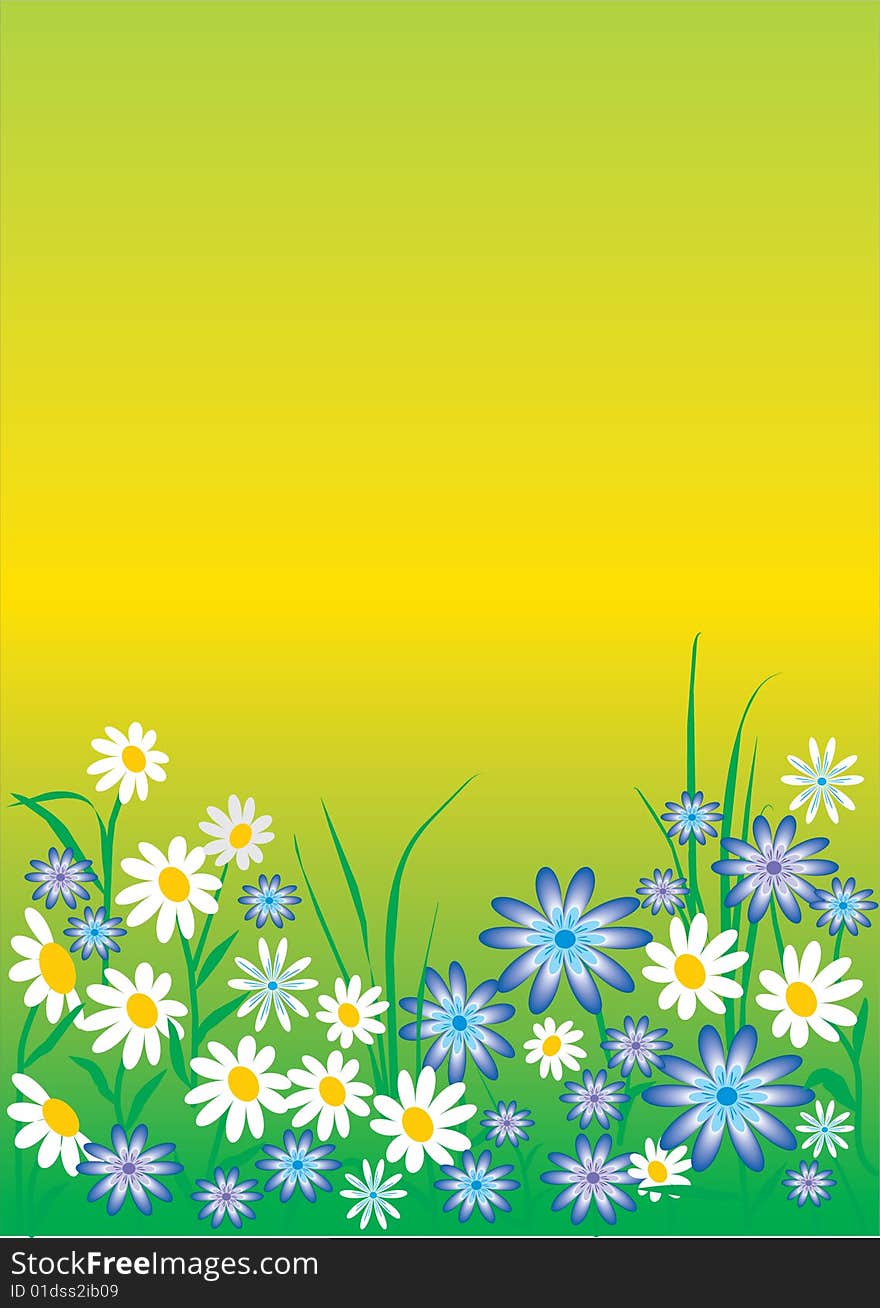 Spring flowers background with room for text. (flower, chamomile)