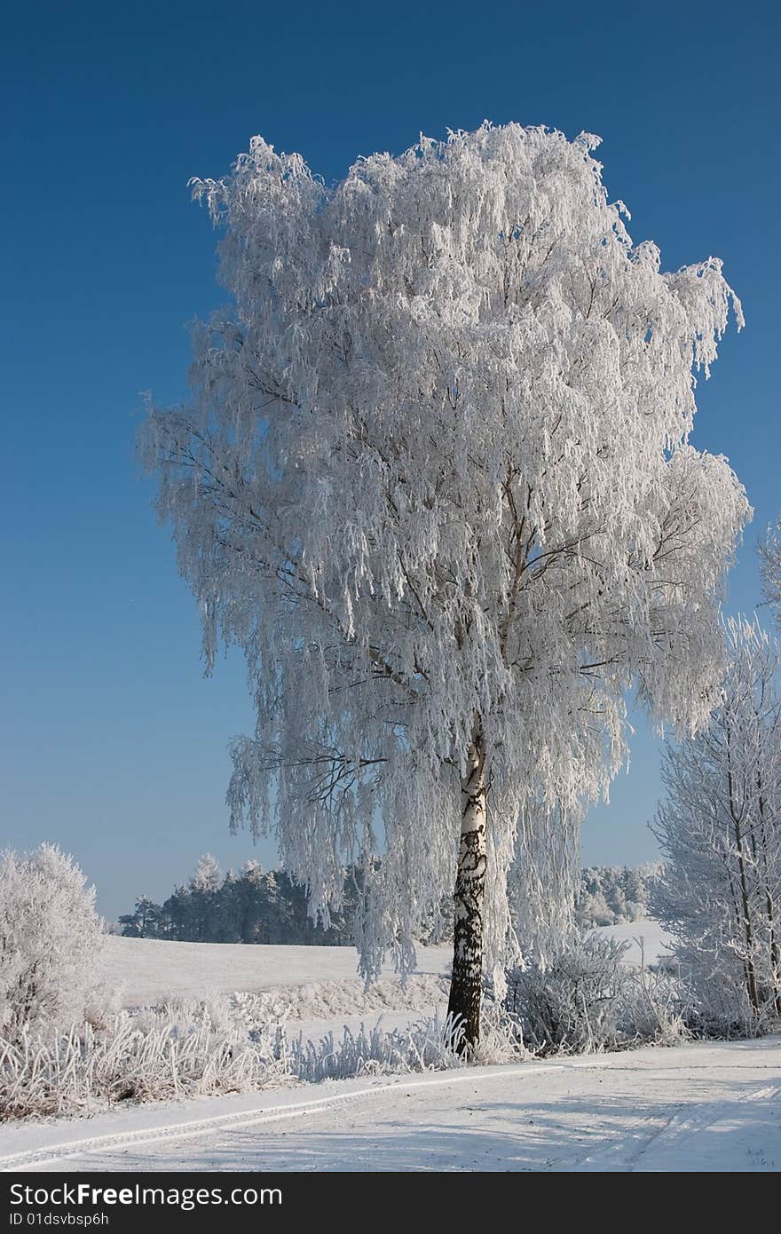 In winter