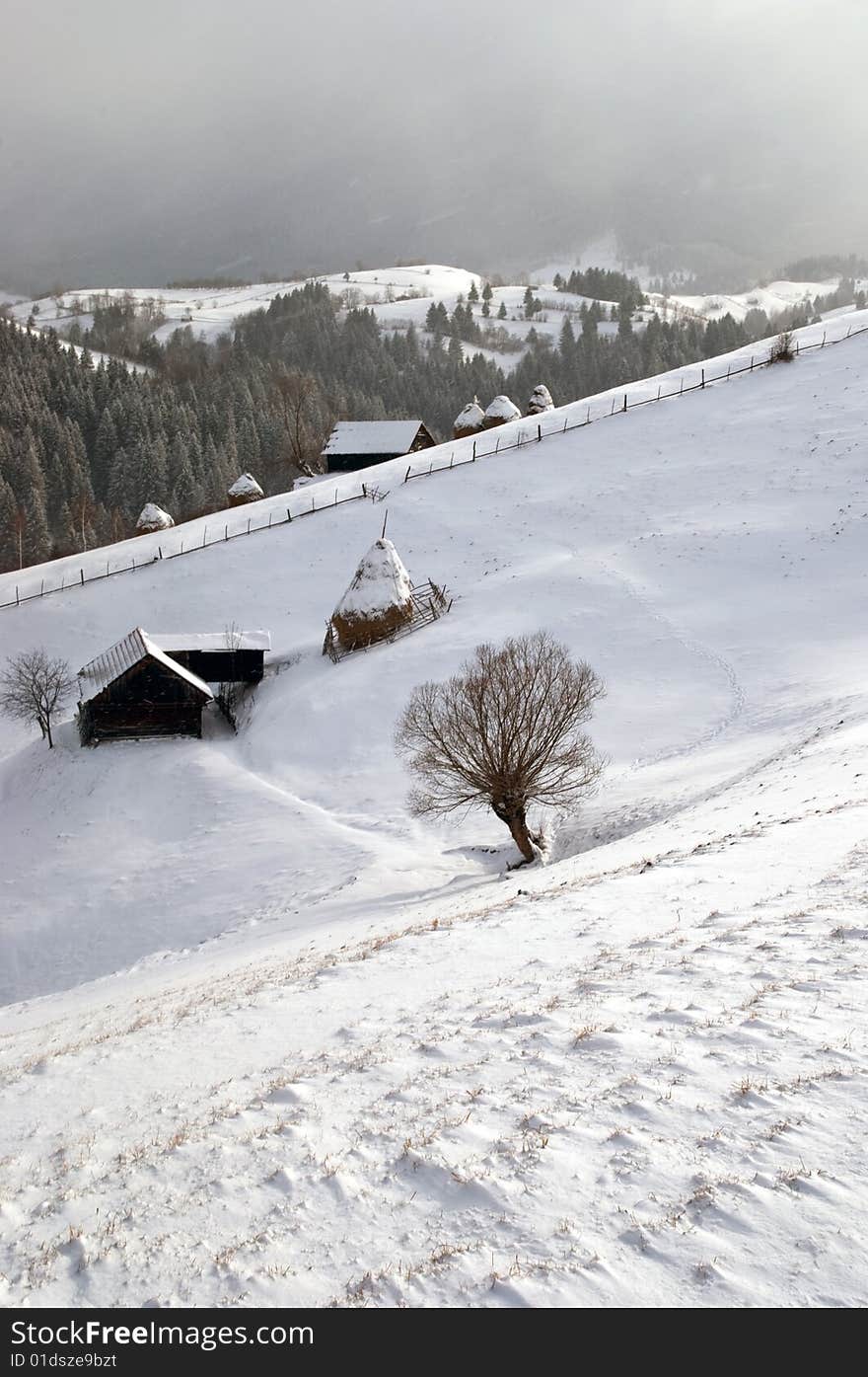 A scenic view from Moeciu - Bran Romania. A scenic view from Moeciu - Bran Romania