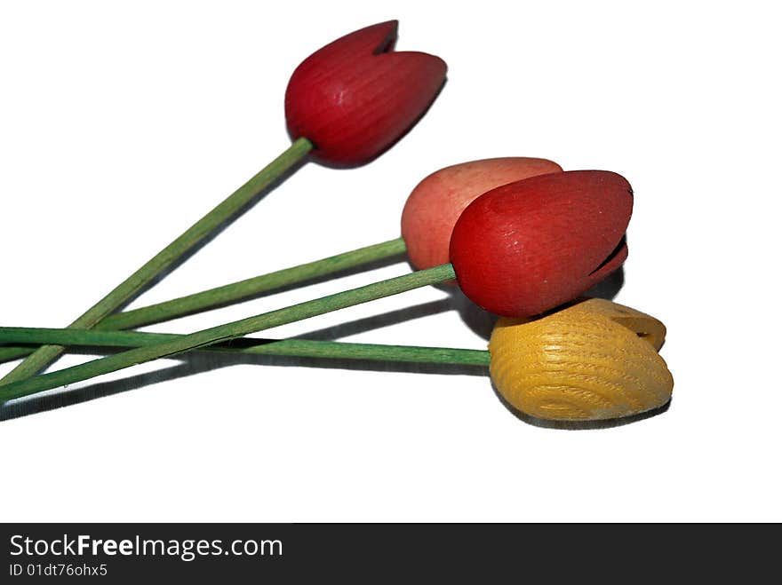 View of some wood tulips