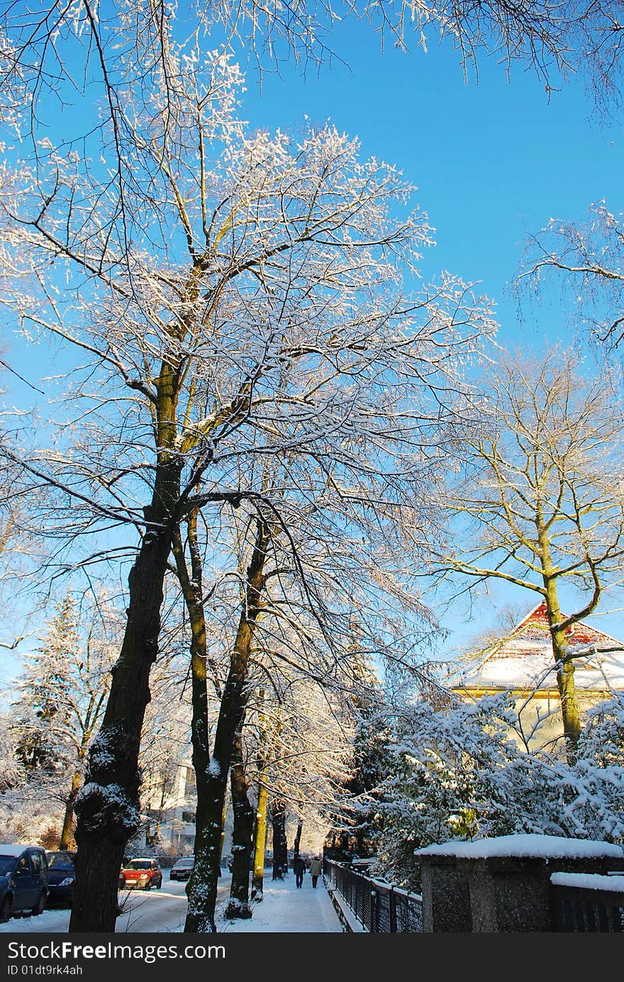 Snow In Berlin