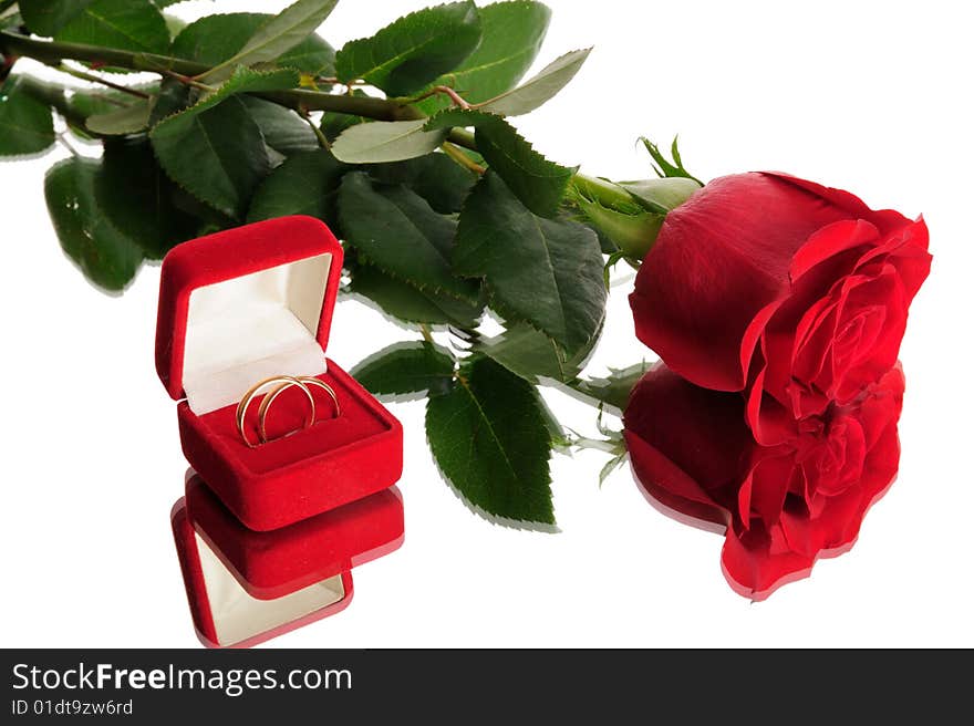 Red rose and wedding rings isolated on white