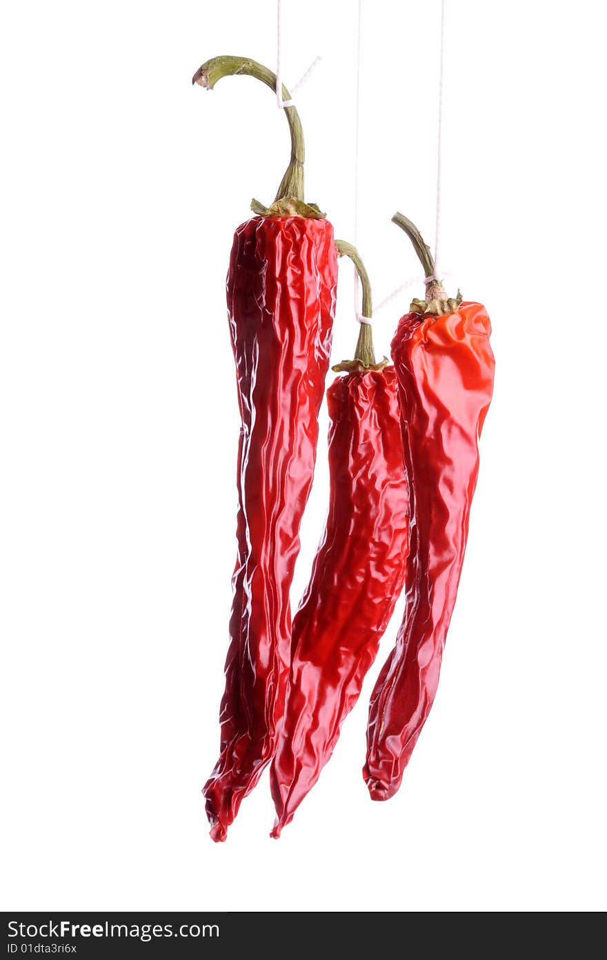 Dried red hot chili pepper isolated on white. Dried red hot chili pepper isolated on white