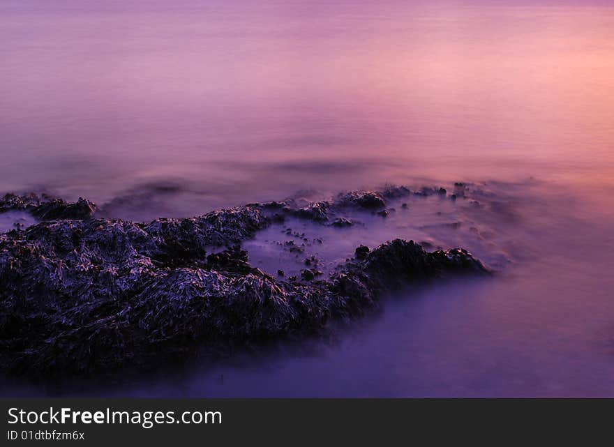 Picture of frosty sea weed, small waves splashing over it. Taken at sunset,in Oslo, Norway. Picture of frosty sea weed, small waves splashing over it. Taken at sunset,in Oslo, Norway