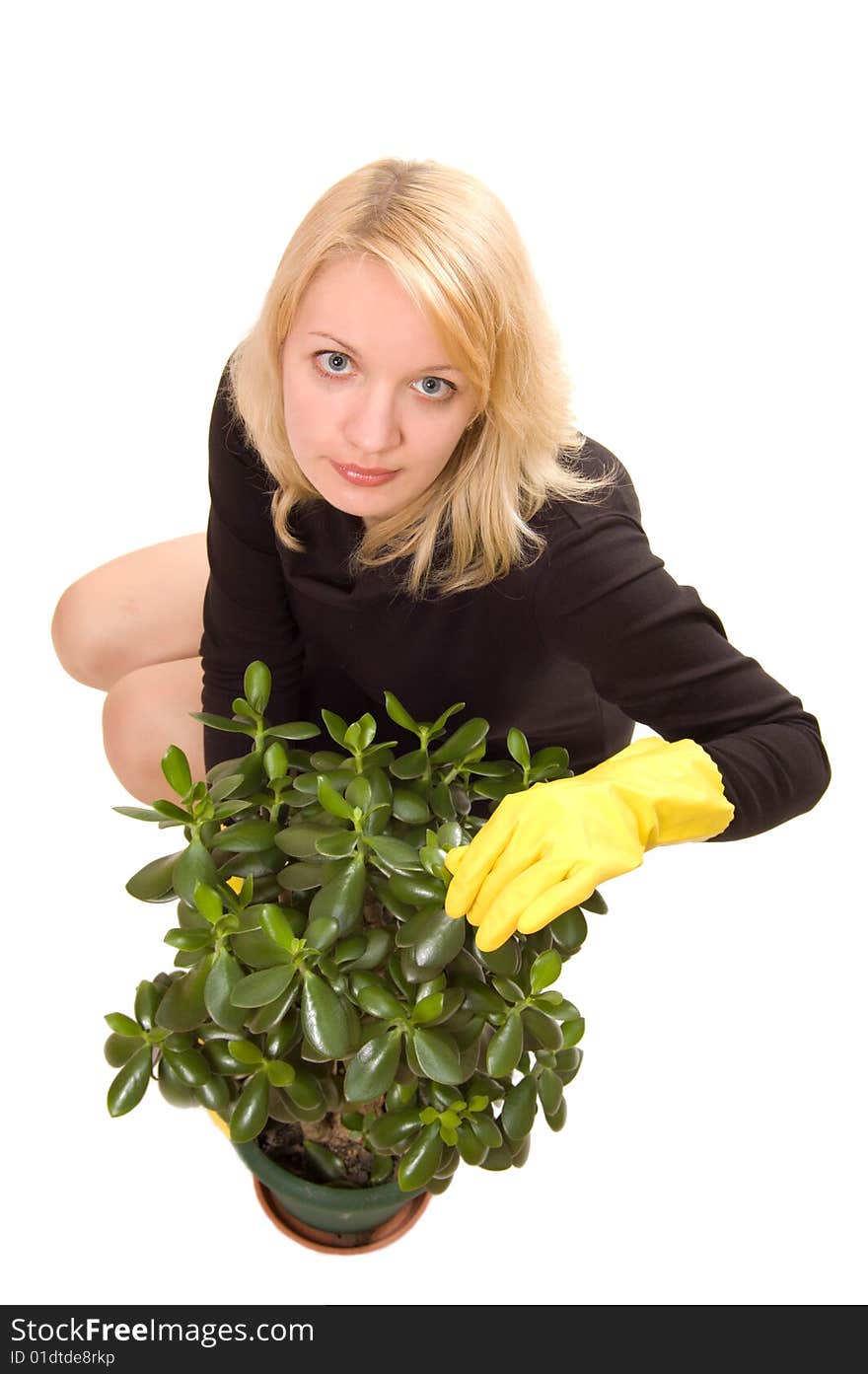 Young woman looking after her plant, isolated on white background. Young woman looking after her plant, isolated on white background