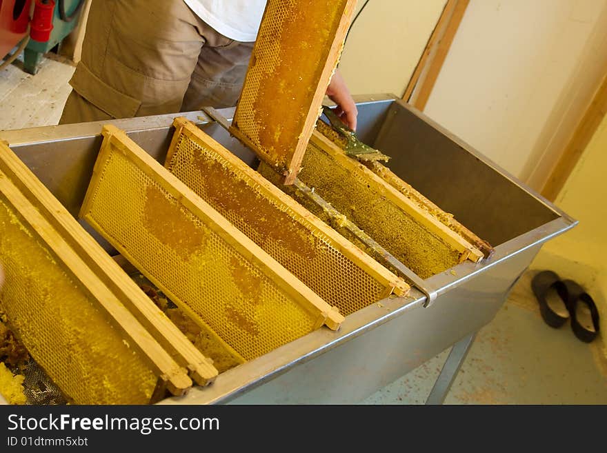 A view of trays from artificial beehives left in a huge metallic container for dripping honey out of them. A view of trays from artificial beehives left in a huge metallic container for dripping honey out of them