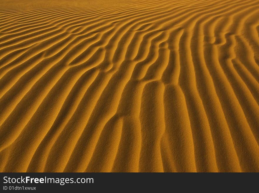 Dry sand pattern in the sahara desert. Dry sand pattern in the sahara desert