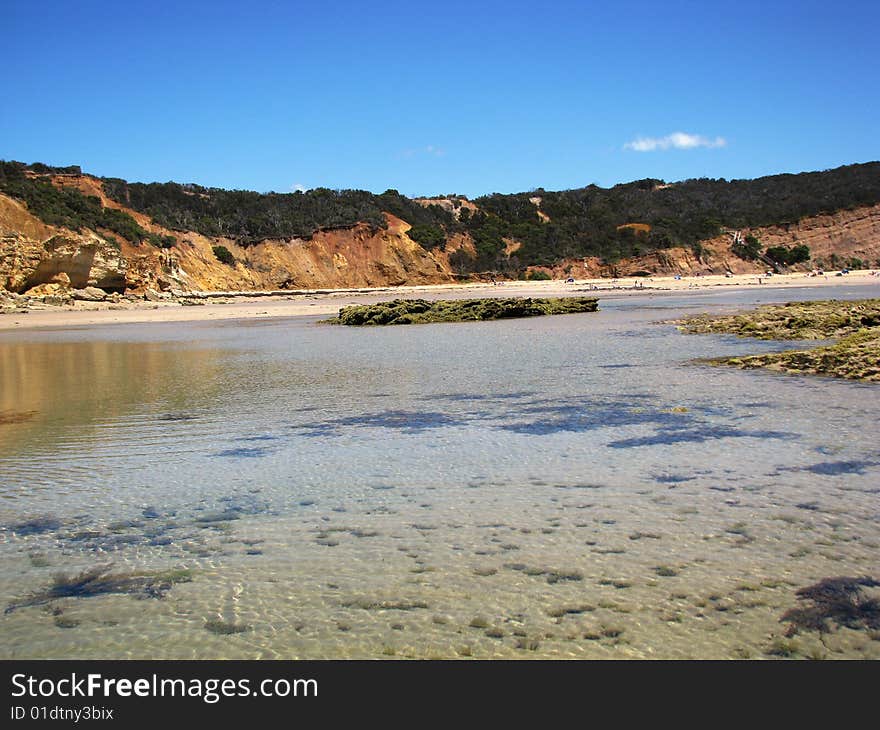 Tidal Pool