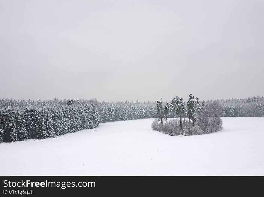 Winter Day in Forest and Field Landscape