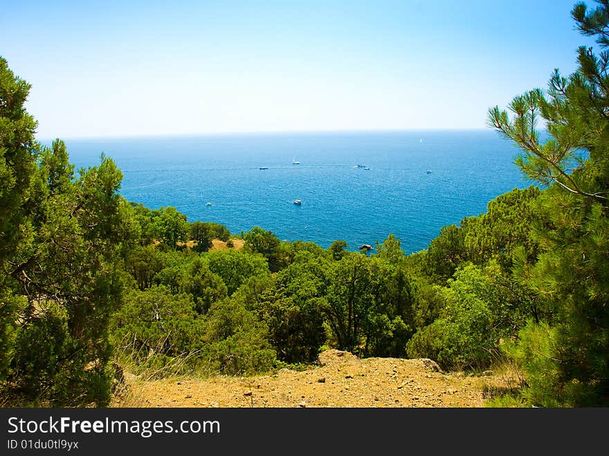 Sea Coastline