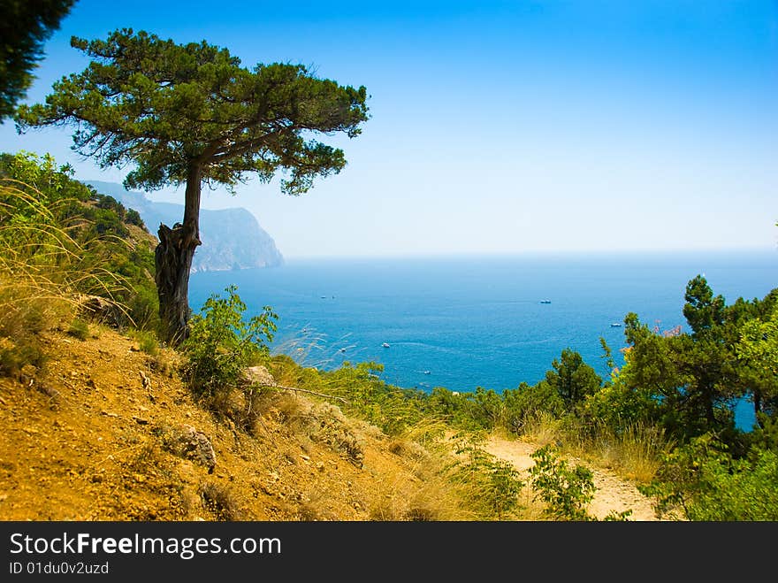 Sea coastline