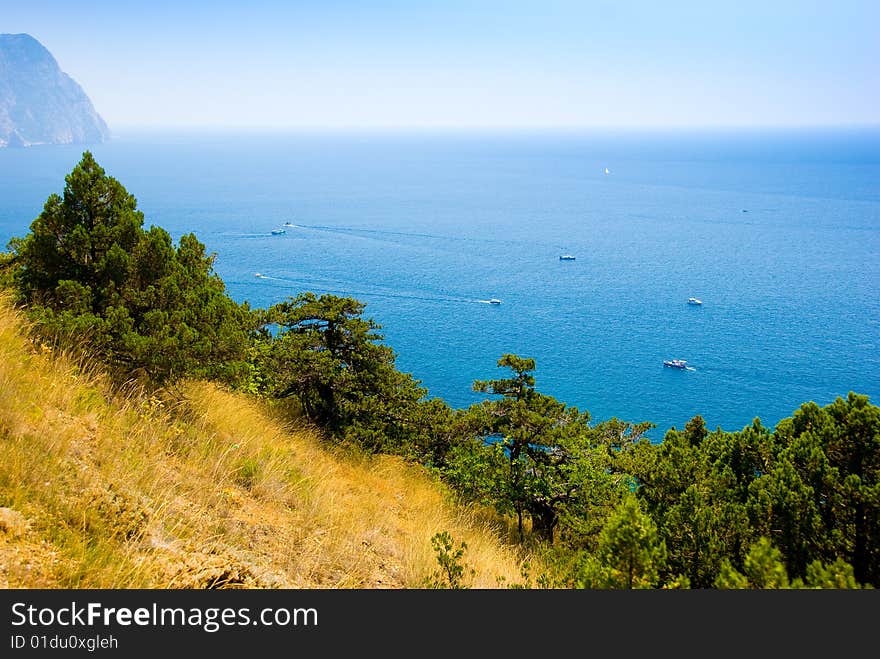 Sea coastline