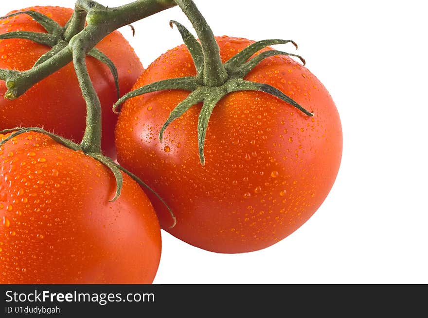 Red Ripe Tomatos On The Vine