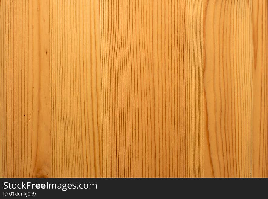 Wood texture - Conifer