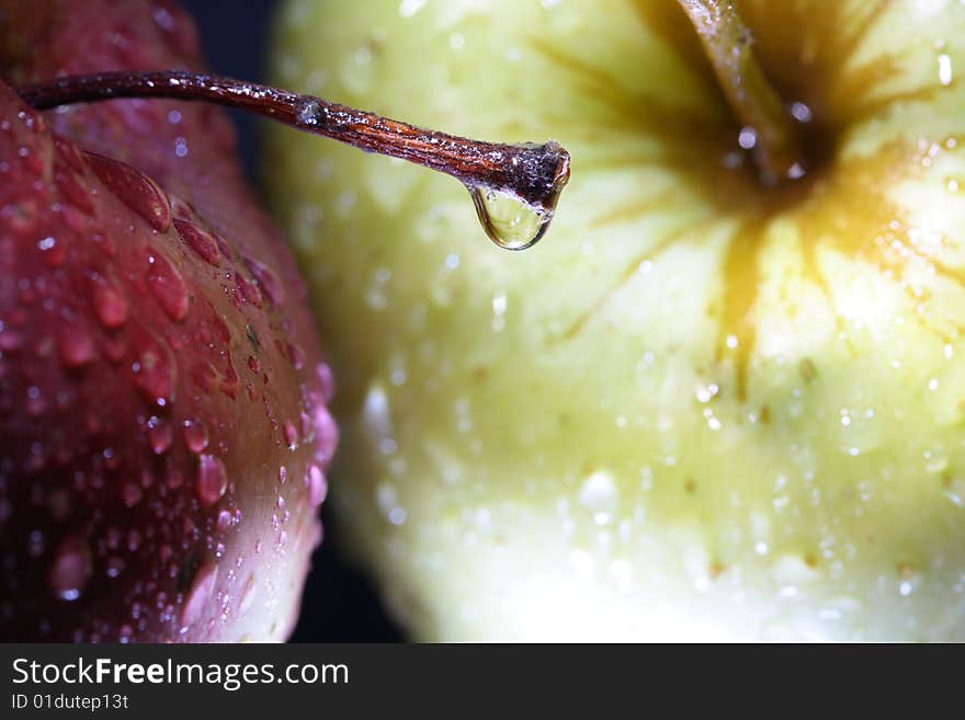 Close-up of two fresh apples with water-drops on dark background. Close-up of two fresh apples with water-drops on dark background