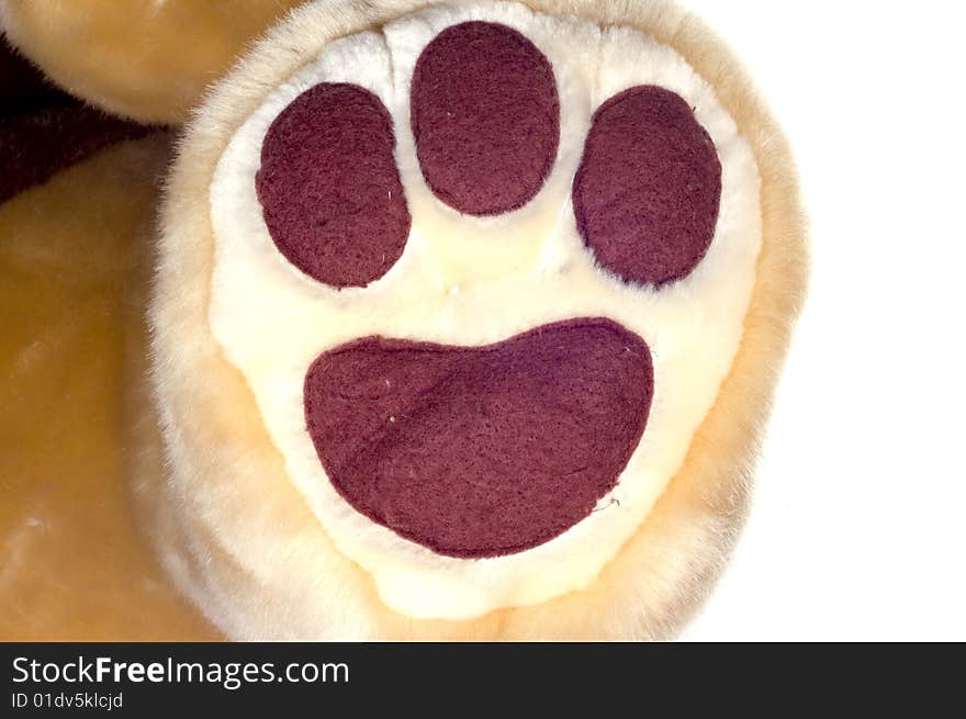 Bears Foot