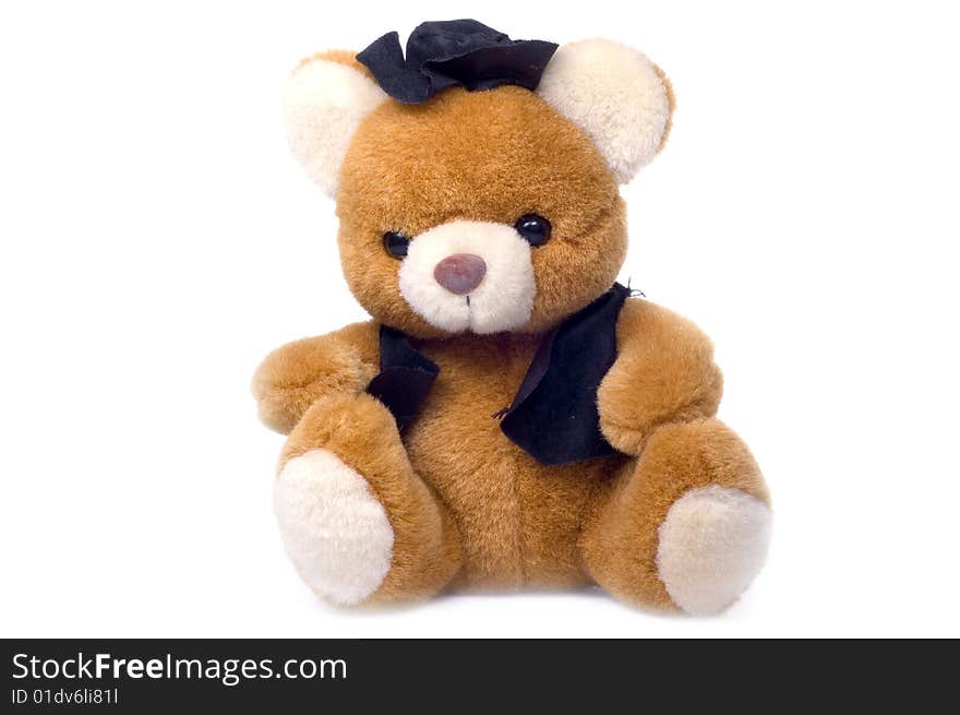 Teddybear in hat on white background