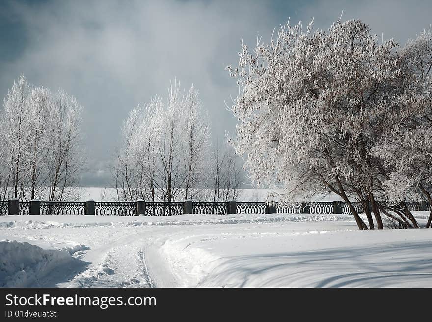 Winter landscape