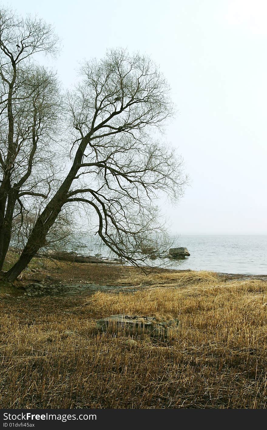 Baltic gulf, Saint-Petersburg, Russia