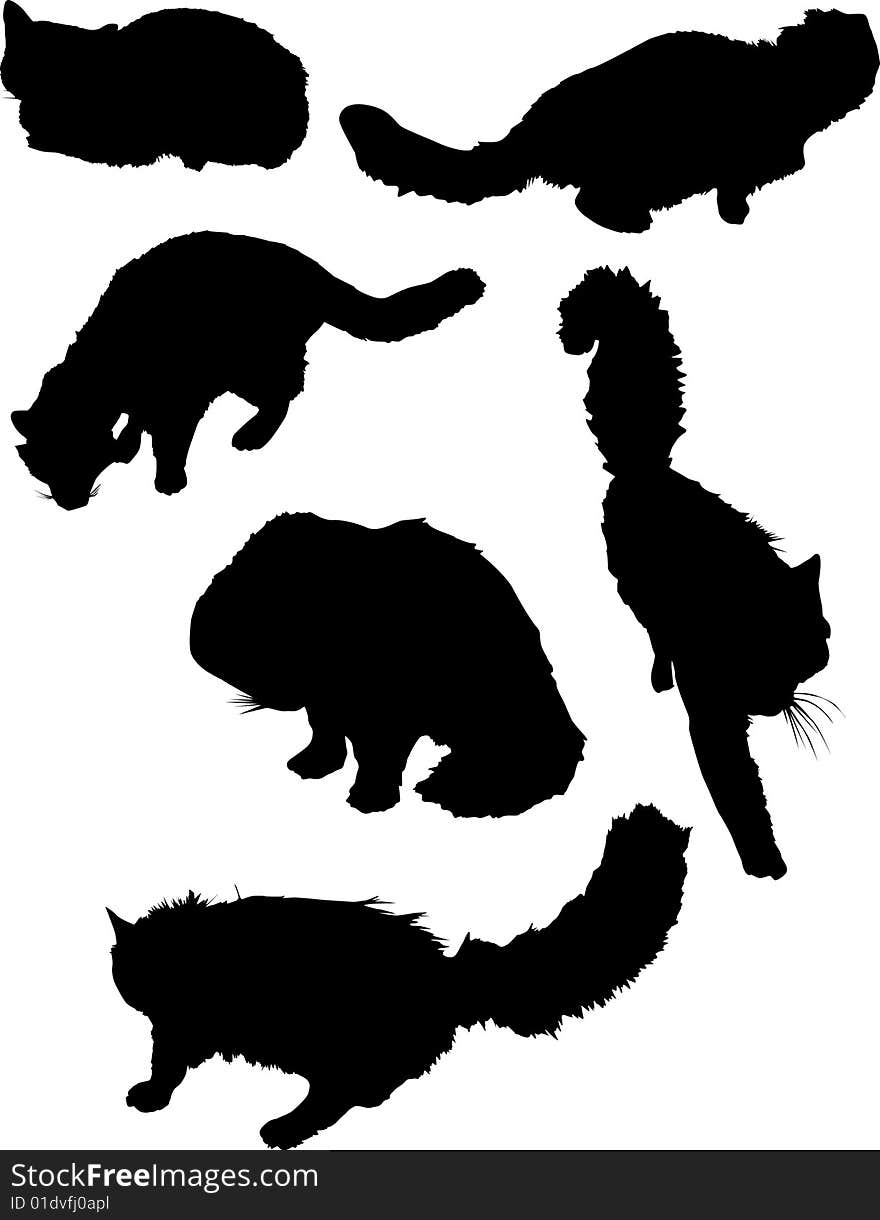 Six cat silhouettes