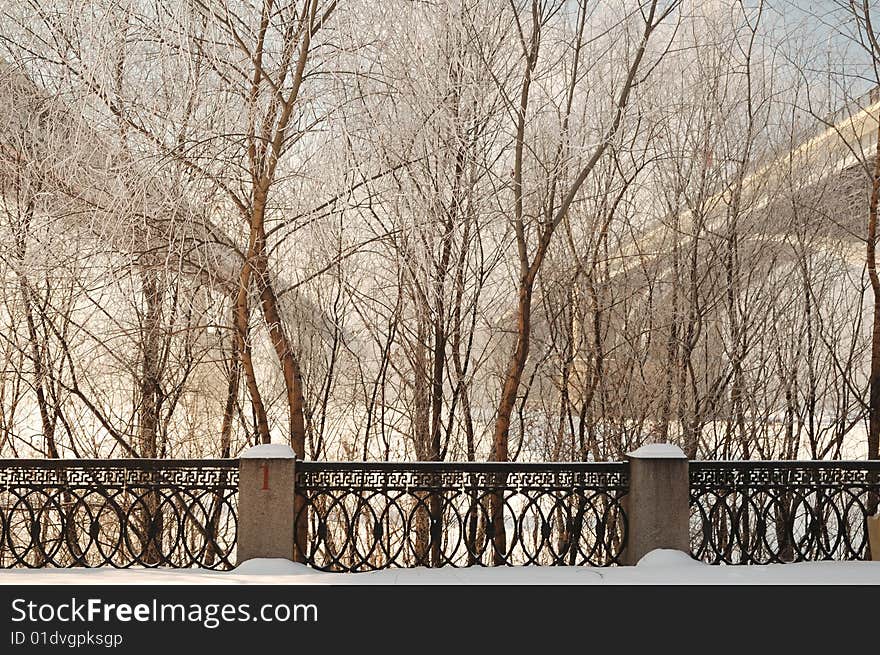 View through the trees on two bridges