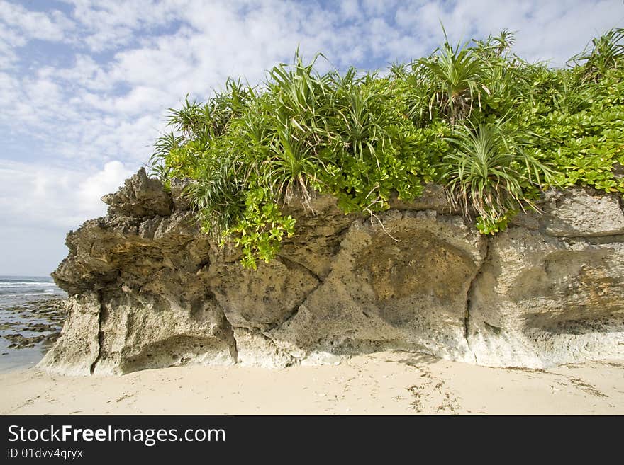 Tropical and sandy beach view. Tropical and sandy beach view