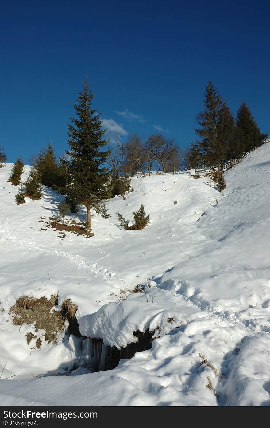 Winter In The Carpathian Mountains