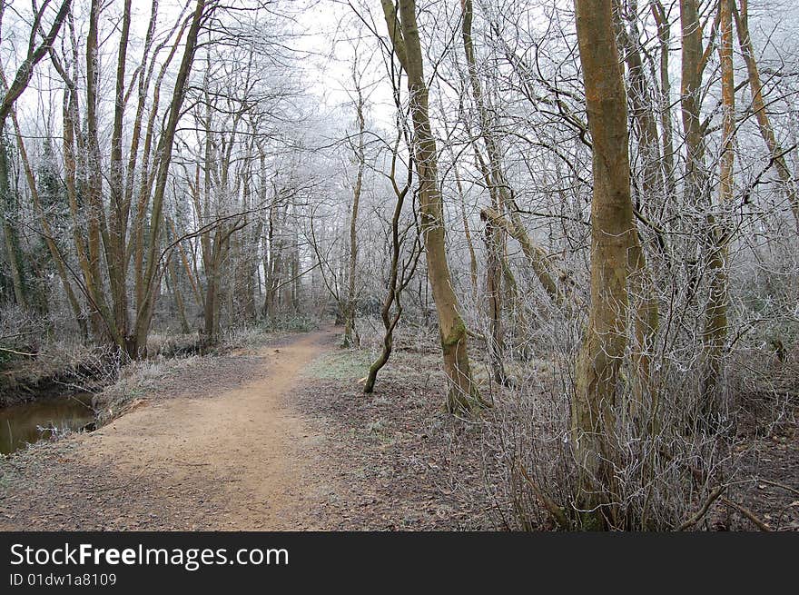 Frosty sandy path