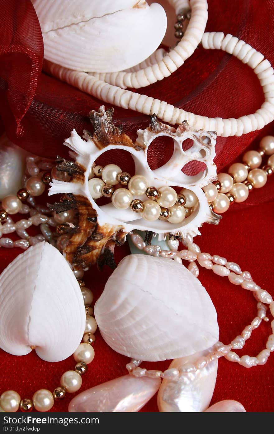 Seashells and jewelery