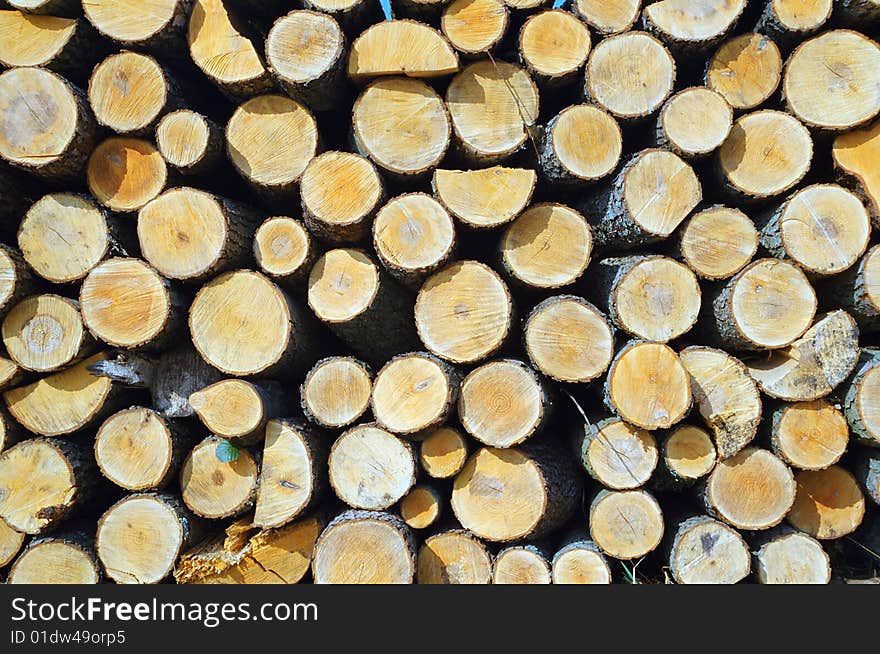 Pile wood, wood texture, felled trees