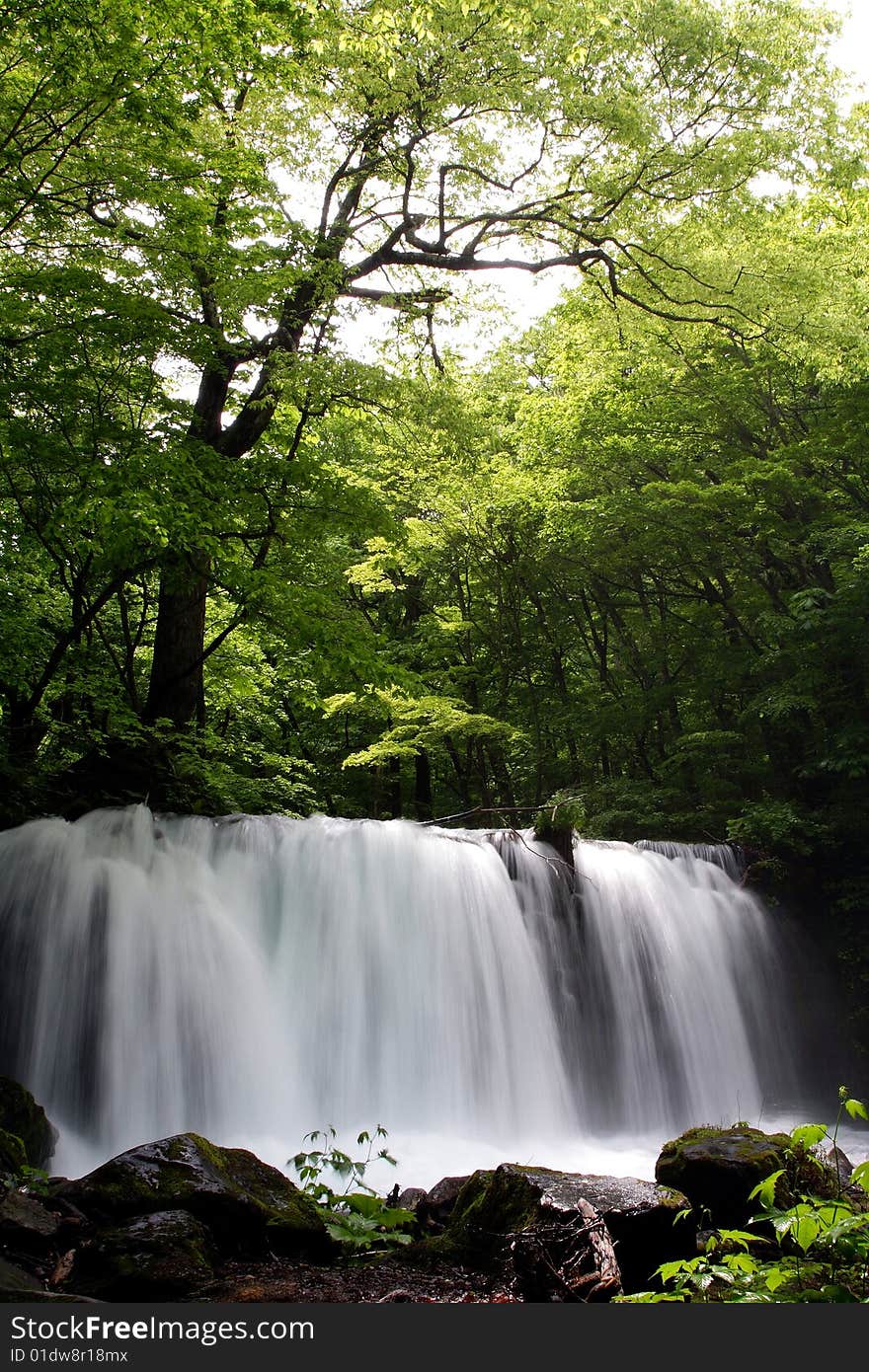 Oirase-gawa River in the Japan