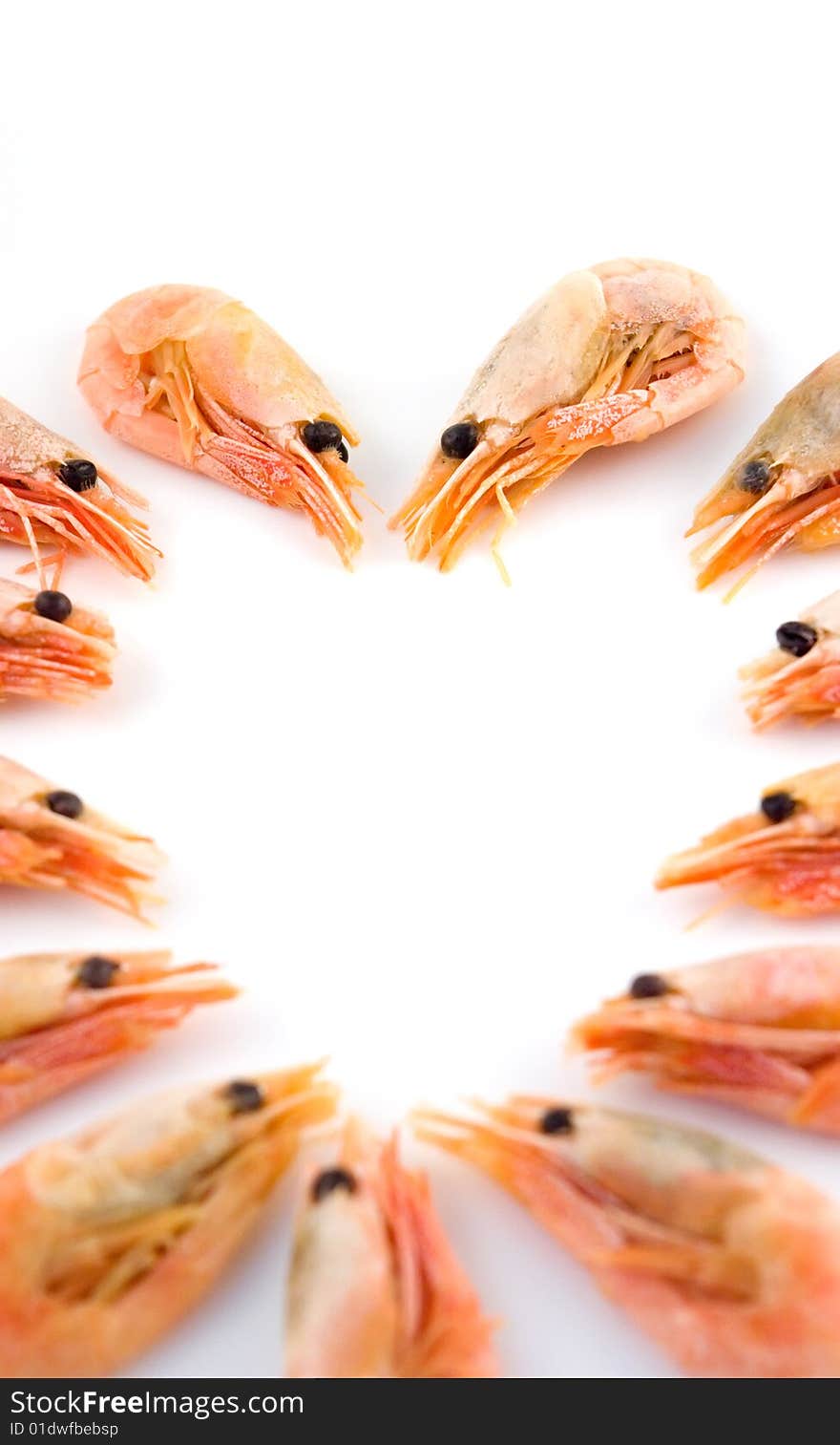 Beautiful boiled shrimps in the form of heart. Beautiful boiled shrimps in the form of heart