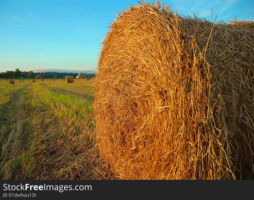 A stack of hay in sunny weather