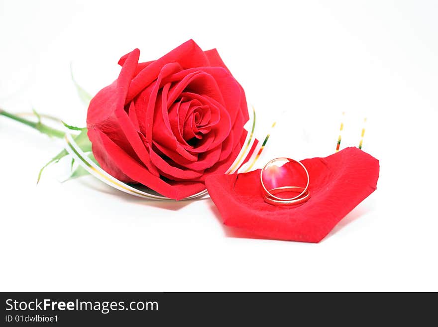 Photo of a rose and wedding rings on a white background. Photo of a rose and wedding rings on a white background.