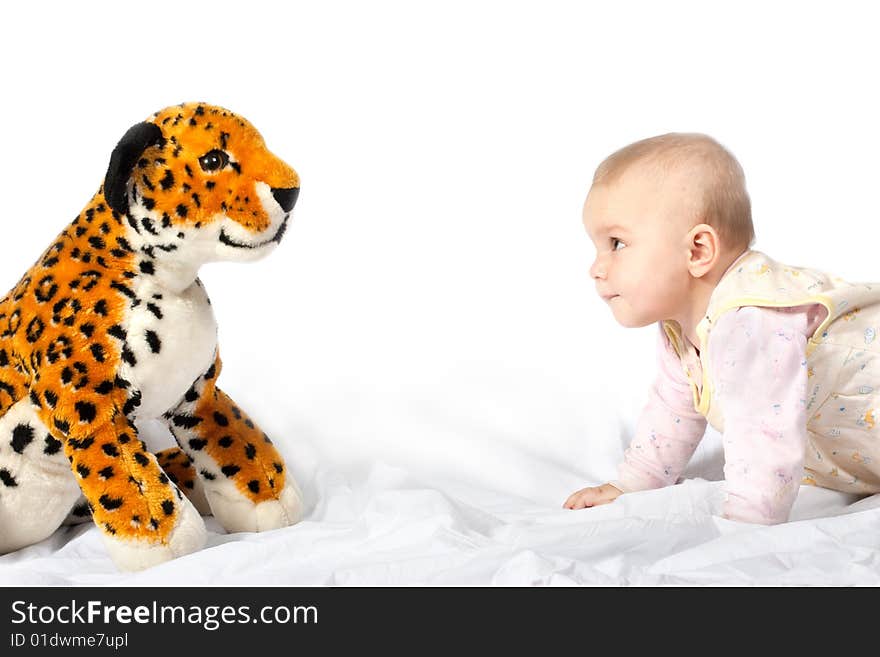 Baby playing with tiger toy on white. Baby playing with tiger toy on white