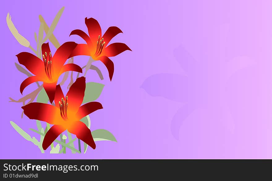 Red lillies on a purple background