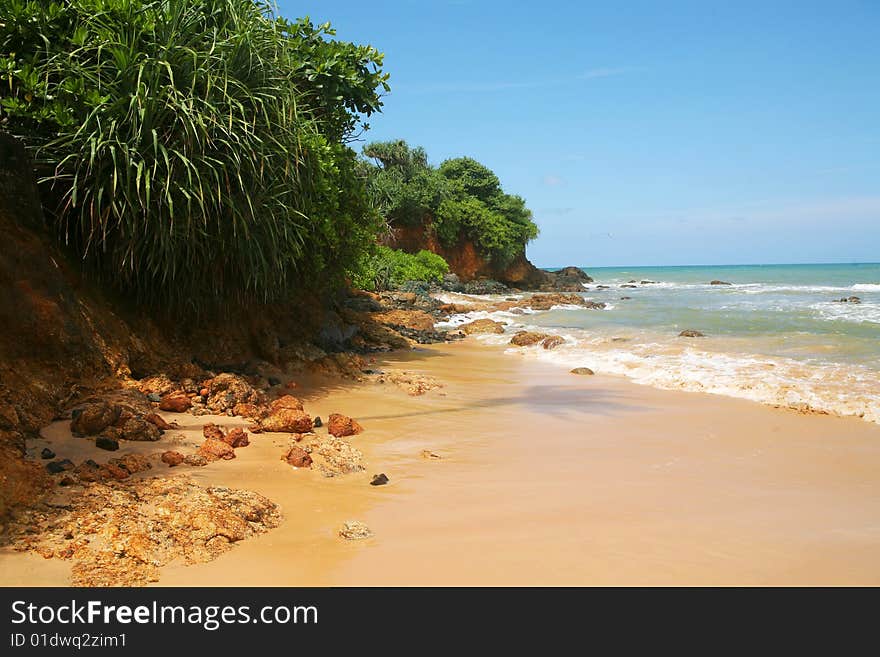 Green plants and yellow sand of tropical island coastline